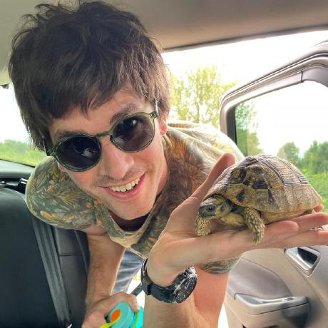 Me rescuing a tortoise from a road in Croatia